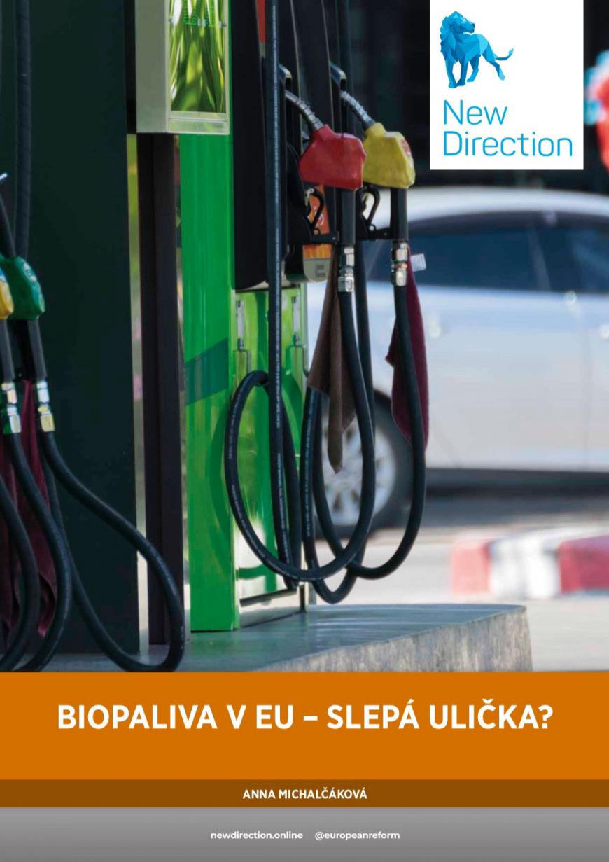 Biopaliva v EU – slepá ulička?